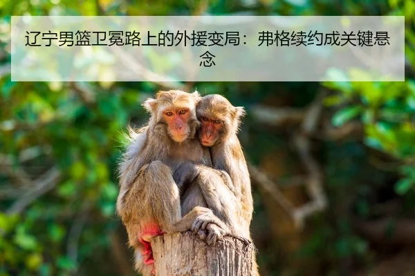 liao-ning-nan-lan-wei-mian-lu-shang-de-wai-yuan-bian-ju-fu-ge-xu-yue-cheng-guan-jian-xuan-nian-2-146.jpg